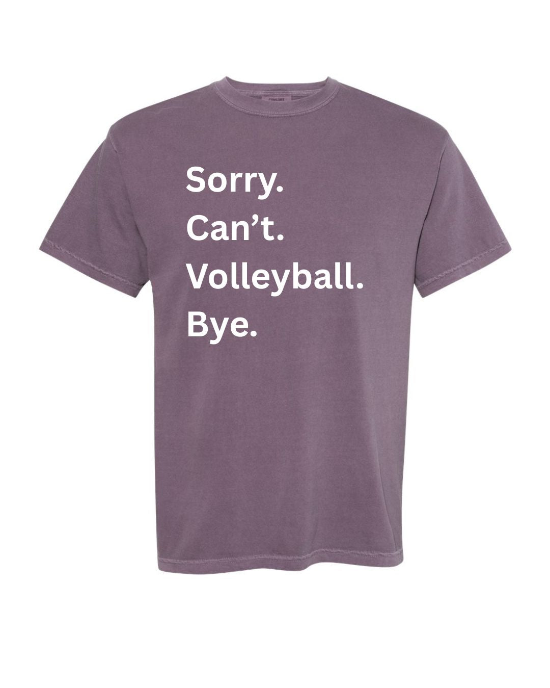 Sorry. Can't. Volleyball. Bye.