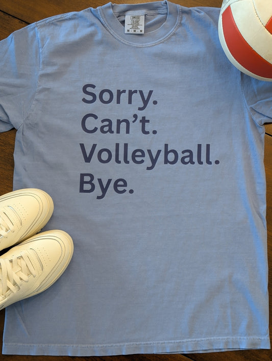 Sorry. Can't. Volleyball. Bye.